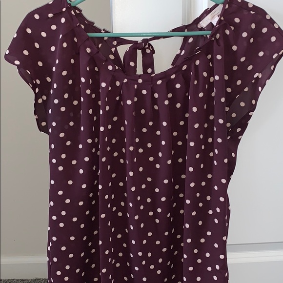 LC Lauren Conrad Tops - polka dots women’s top💜🤍